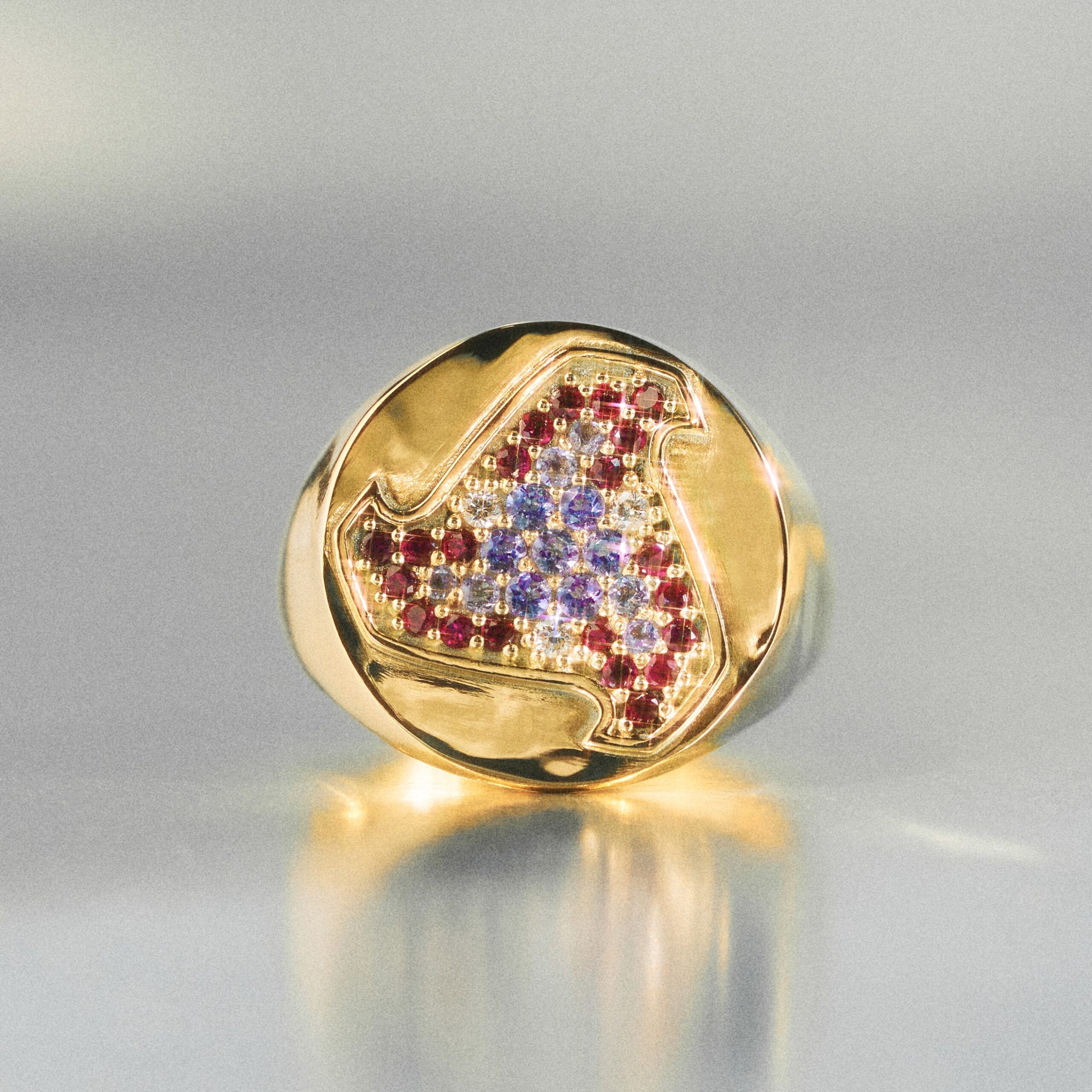 Fevernova signet ring<br />
K18 yellow gold<br />
Diamond, ruby, tanzanite<br />
¥640,000 ~